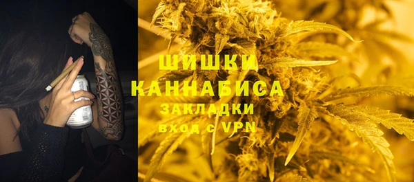 стафф Новосибирск